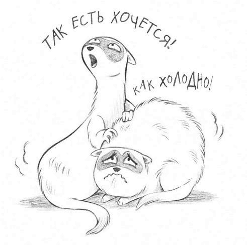 Не кусаться!