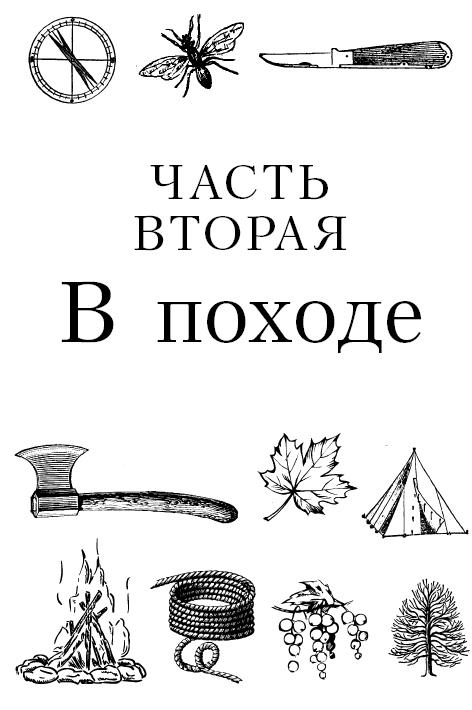 Бушкрафт 101. Современное руководство по искусству выживания в дикой природе