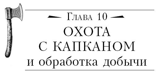 Бушкрафт 101. Современное руководство по искусству выживания в дикой природе