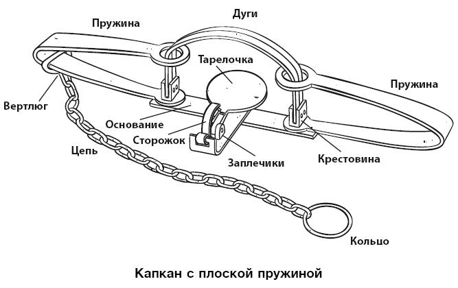 Бушкрафт 101. Современное руководство по искусству выживания в дикой природе