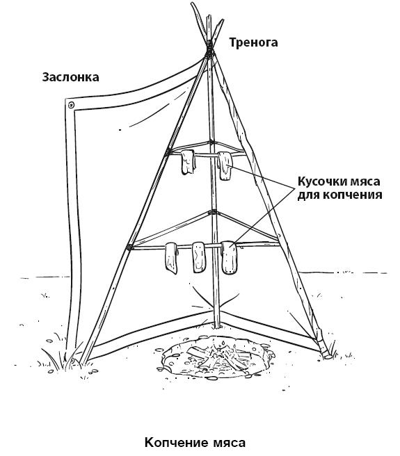 Бушкрафт 101. Современное руководство по искусству выживания в дикой природе