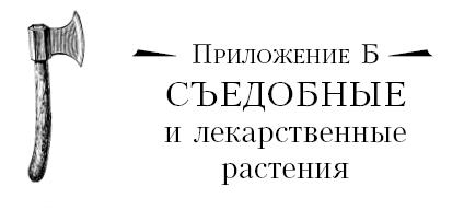 Бушкрафт 101. Современное руководство по искусству выживания в дикой природе