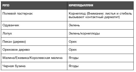 Бушкрафт 101. Современное руководство по искусству выживания в дикой природе