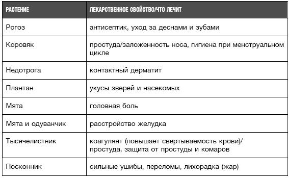 Бушкрафт 101. Современное руководство по искусству выживания в дикой природе