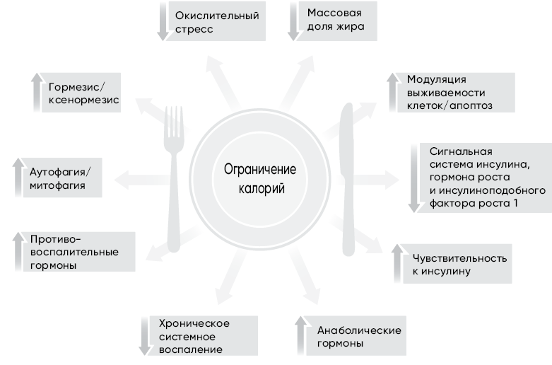 Код долголетия. 12 понятных и доступных способов сохранить здоровье, ясность ума и привлекательность на долгие годы