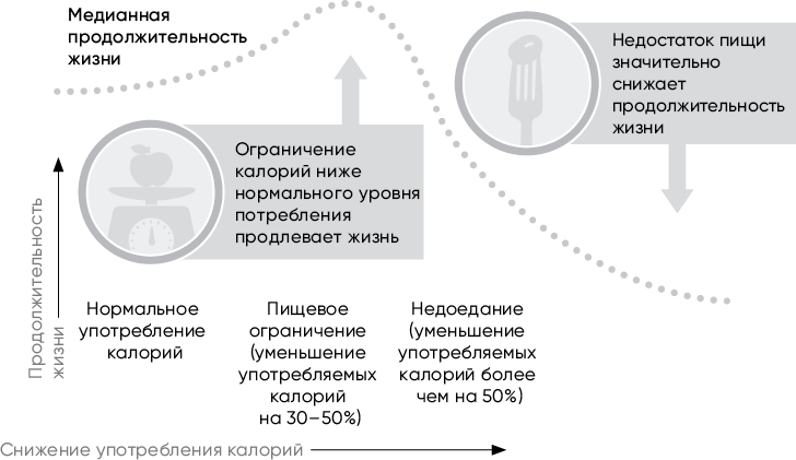 Код долголетия. 12 понятных и доступных способов сохранить здоровье, ясность ума и привлекательность на долгие годы