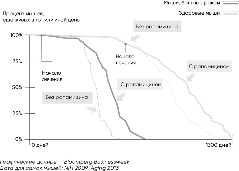 Код долголетия. 12 понятных и доступных способов сохранить здоровье, ясность ума и привлекательность на долгие годы