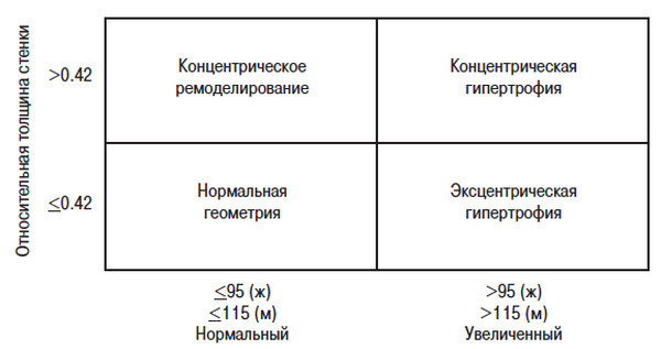 Сердце спортсмена. Актуальные проблемы спортивной кардиологии