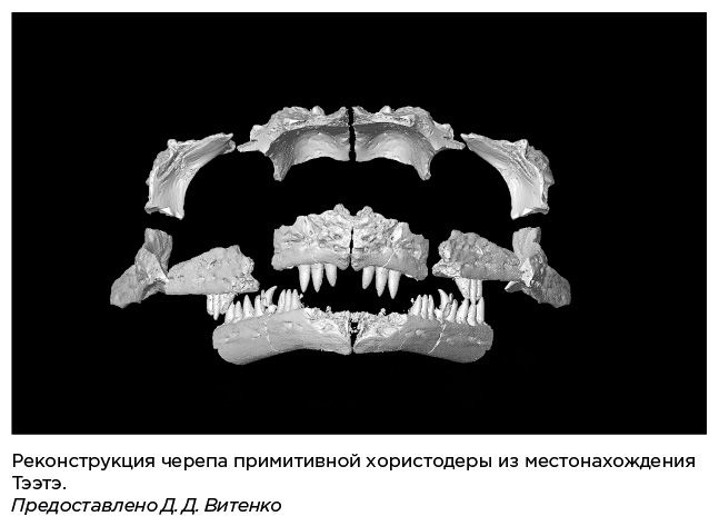 Динозавры России. Прошлое, настоящее, будущее