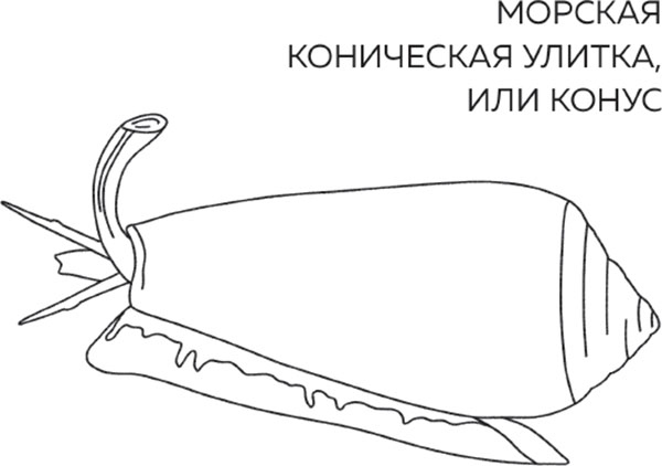 Бьюти на всю голову. Все, что нужно знать о современном уходе, инновациях в косметике и уловках индустрии красоты