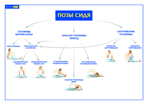 Йога. Современное руководство по решению проблем