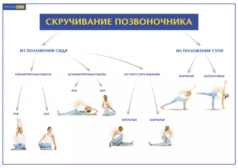 Йога. Современное руководство по решению проблем