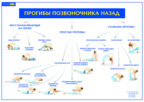 Йога. Современное руководство по решению проблем