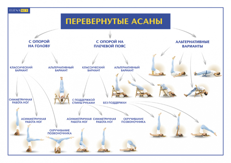 Йога. Современное руководство по решению проблем