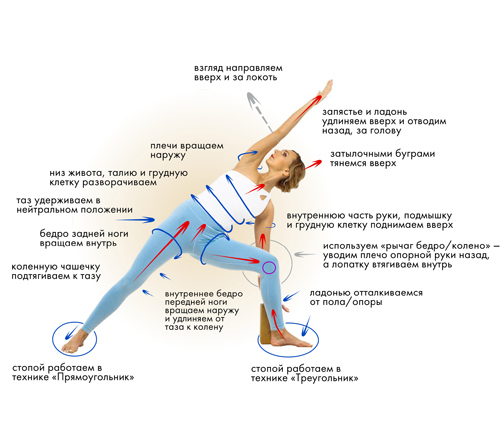 Йога. Современное руководство по решению проблем