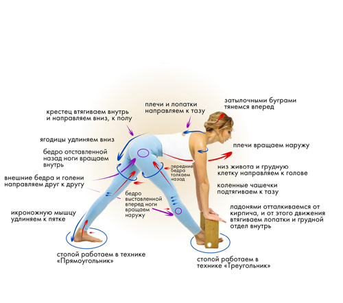 Йога. Современное руководство по решению проблем