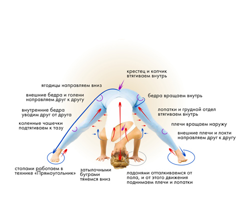 Йога. Современное руководство по решению проблем