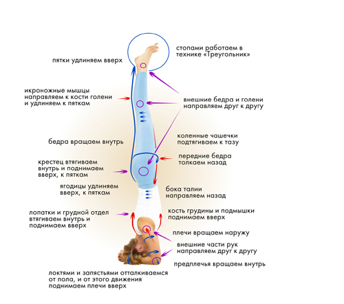 Йога. Современное руководство по решению проблем