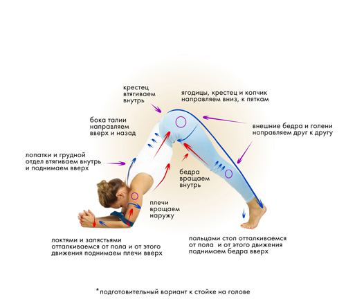 Йога. Современное руководство по решению проблем