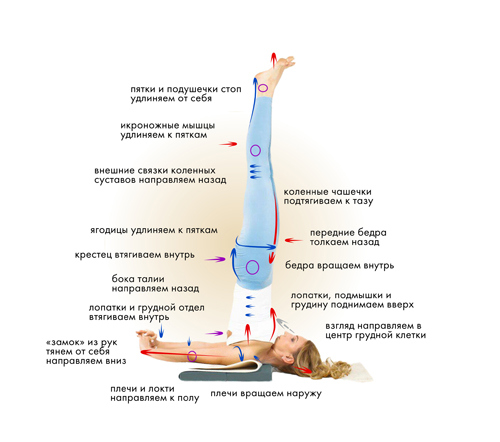 Йога. Современное руководство по решению проблем