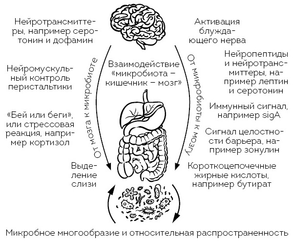 Что мы знаем (и не знаем) о еде. Научные факты, которые перевернут ваши представления о питании