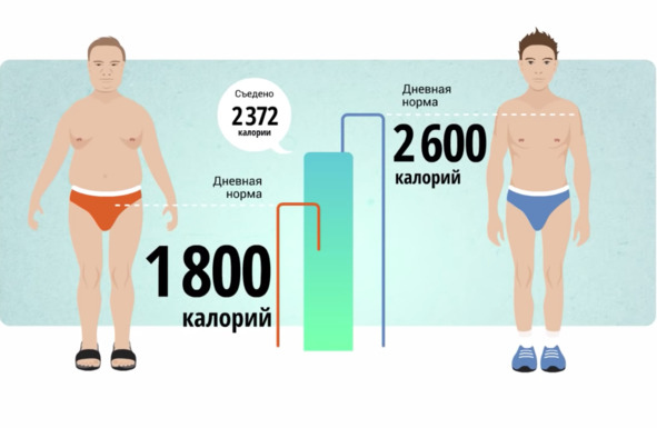 9 шагов здоровой потери веса. Наука похудения без мифов и голодовки