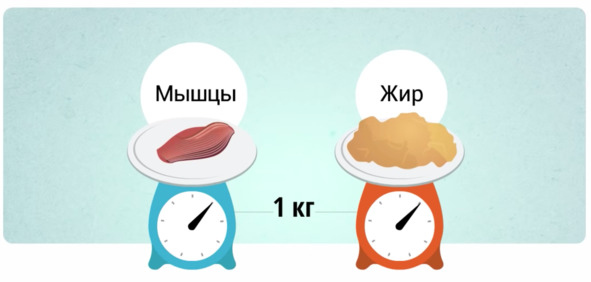 9 шагов здоровой потери веса. Наука похудения без мифов и голодовки