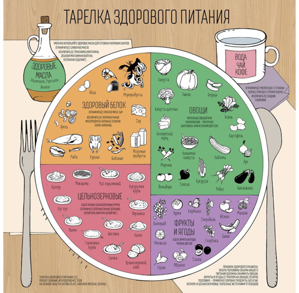 9 шагов здоровой потери веса. Наука похудения без мифов и голодовки