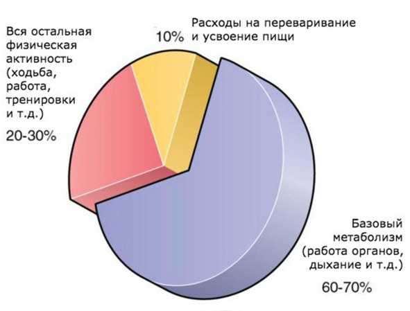 9 шагов здоровой потери веса. Наука похудения без мифов и голодовки