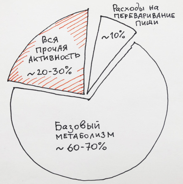 9 шагов здоровой потери веса. Наука похудения без мифов и голодовки