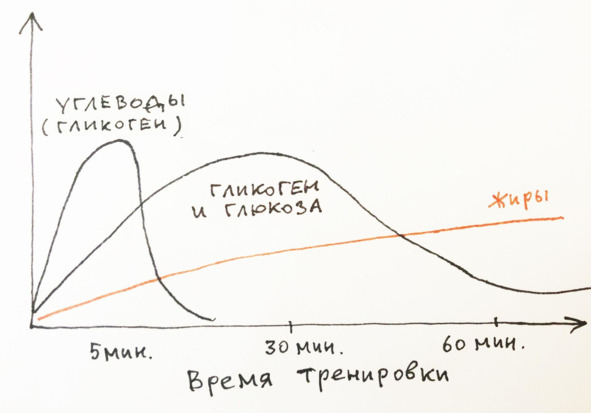 9 шагов здоровой потери веса. Наука похудения без мифов и голодовки