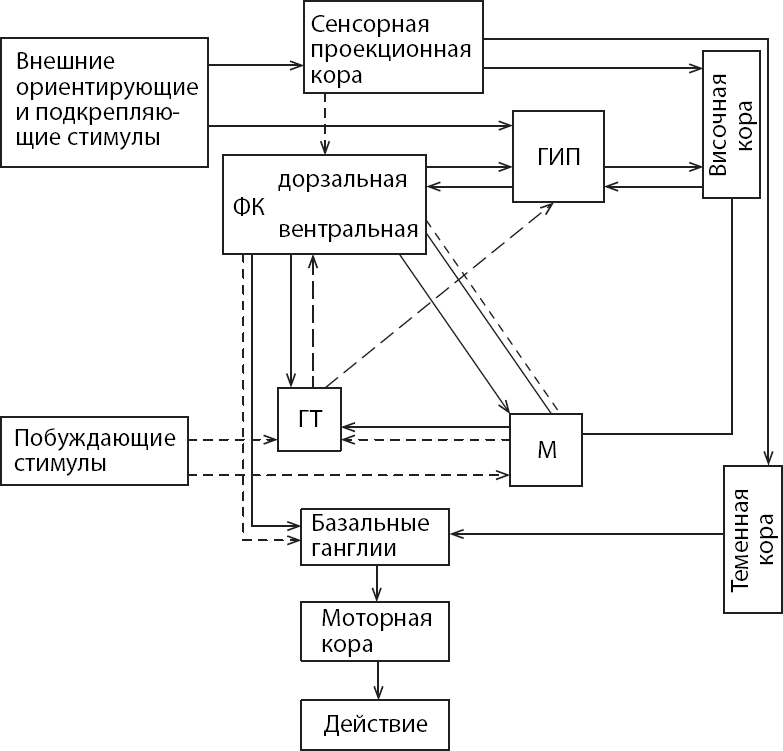 Мотивированный мозг. Высшая нервная деятельность и естественно-научные основы общей психологии