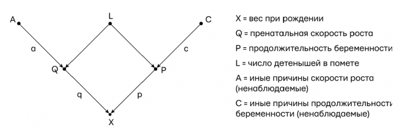 Думай «почему?». Причина и следствие как ключ к мышлению