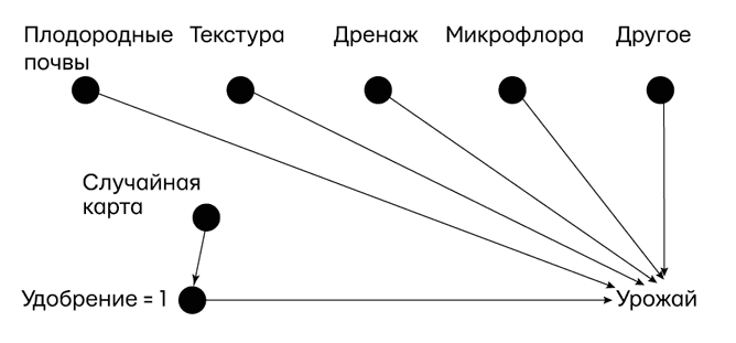 Думай «почему?». Причина и следствие как ключ к мышлению