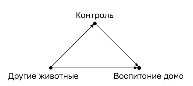 Думай «почему?». Причина и следствие как ключ к мышлению