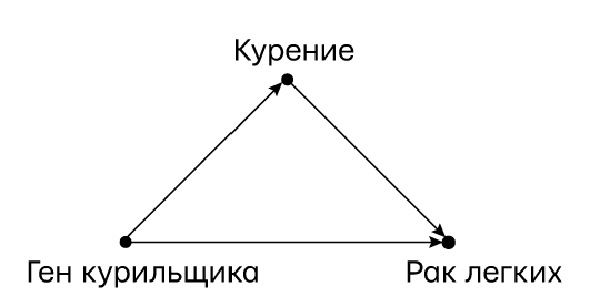 Думай «почему?». Причина и следствие как ключ к мышлению