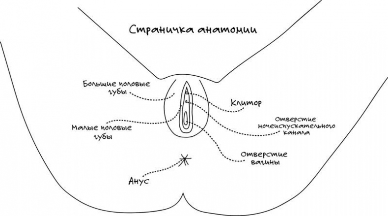 Сексуальный фастфуд. Физиология отношений глазами женщины