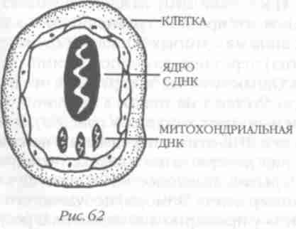 Назад в будущее. Разгадка секретного шифра Книги Бытия