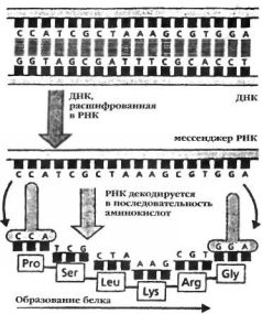 Космический код