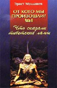 Книга Что сказали тибетские ламы