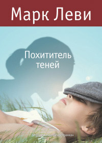 Книга Похититель теней