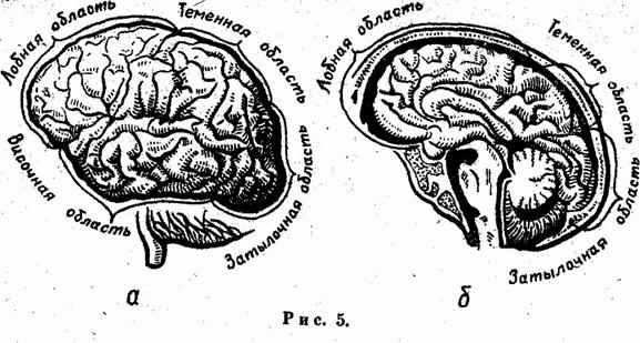 Психология. Учебник для учащихся педагогических училищ