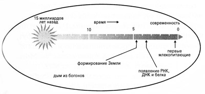 На фейсбуке с сыном