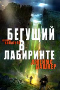 Книга Бегущий в лабиринте