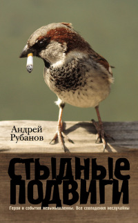 Книга Стыдные подвиги