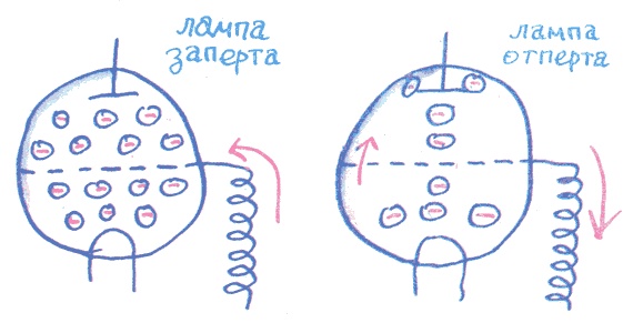 Лекции профессора Чайникова