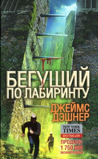 Книга Бегущий по Лабиринту