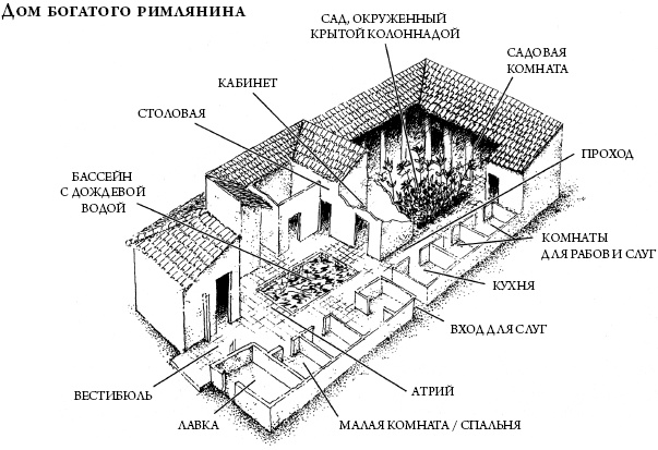 Гладиатор. Книга 2. Уличный боец