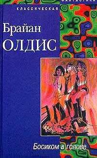 Книга Босиком в голове