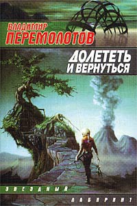 Книга Долететь и вернуться